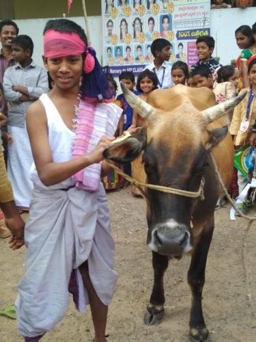 49270401 2278925778806344 2137600468690403328 o