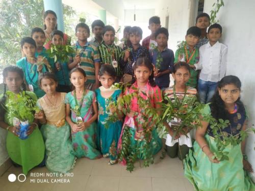 74604753 2835879549777628 9028359111204405248 o