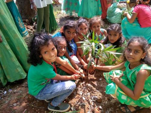 75513341 2835880656444184 1041401746758303744 o